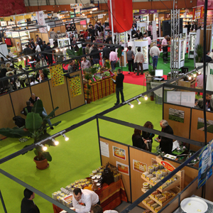 EXPOCERT